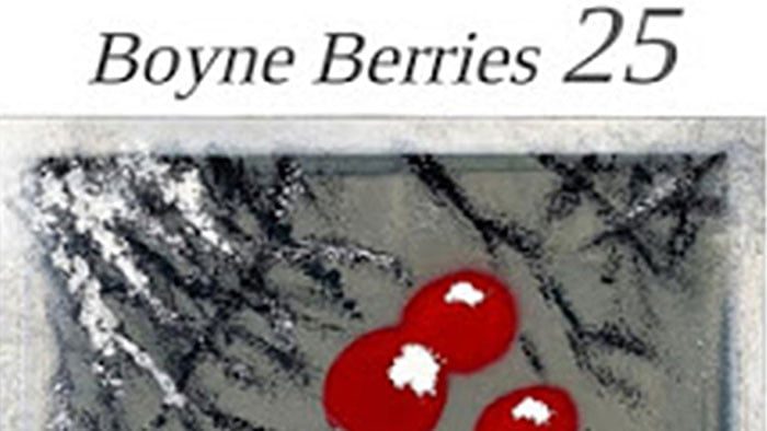 Boyne Berries 25 Launch: Trim Poetry Festival – 15 March
