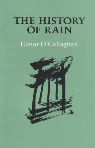The History of Rain - Conor O'Callaghan