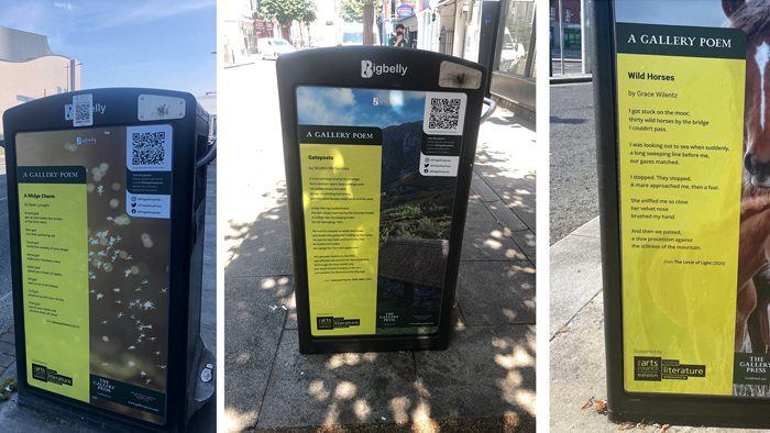 Bigbelly Bins